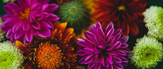 自主研发，不断创新